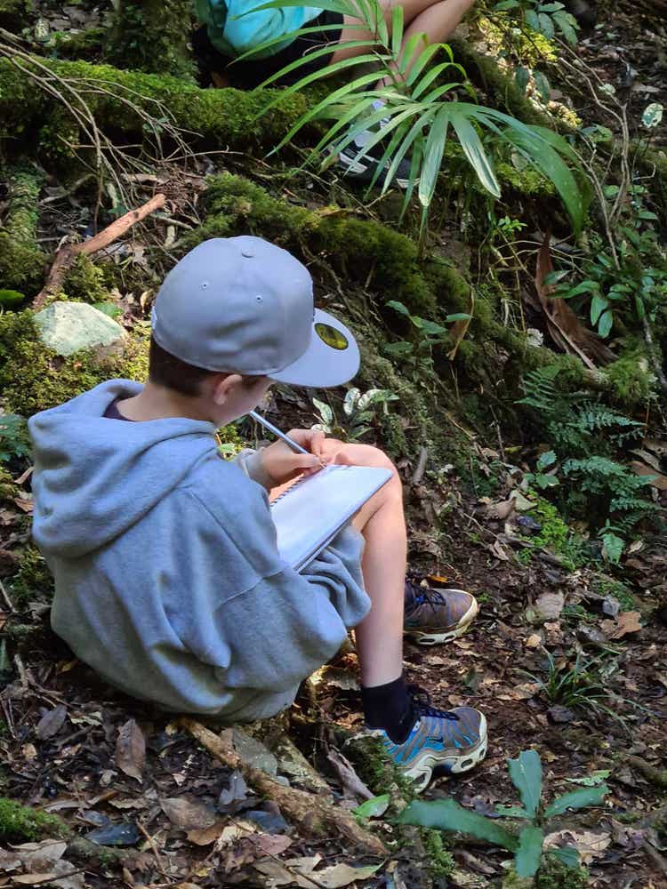 Student nature journaling in the forest